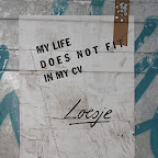 my life does not fit in my cv