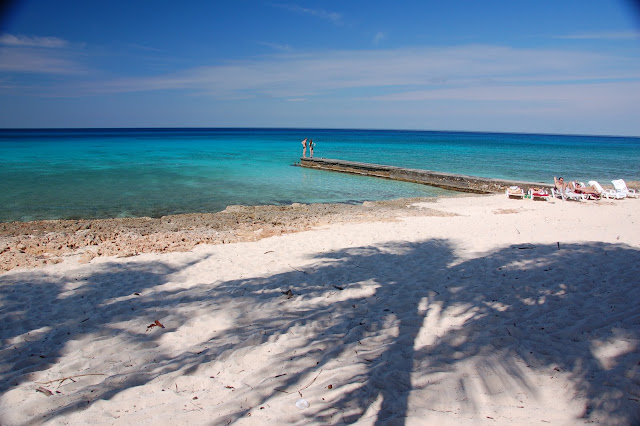 DSC_7446.JPG