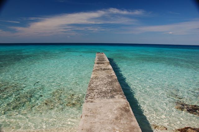 DSC_7480.JPG