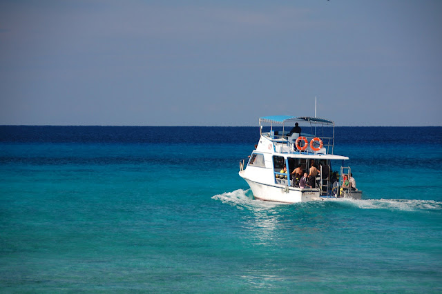 DSC_7440.JPG