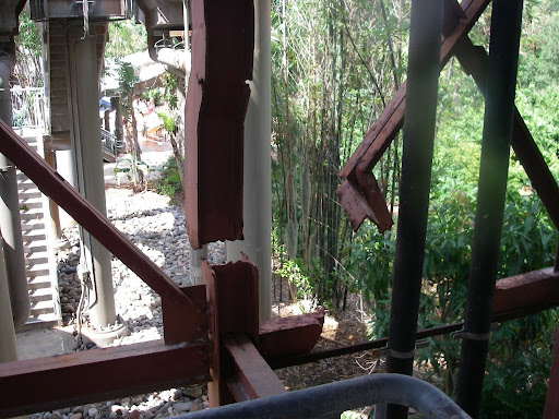 florida_20%20015.jpg