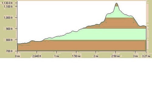 [Triple-T_Run_Profile[4].jpg]