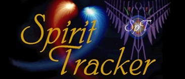 [Spirit Tracker[4].jpg]