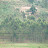Agricultural rural Rwanda Agricultural rural Rwanda