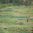 Agricultural rural Rwanda Agricultural rural Rwanda