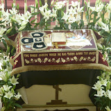 SN851574.JPG