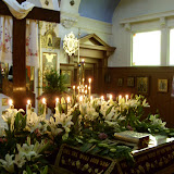 SN851591.JPG
