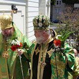 SN852613.JPG