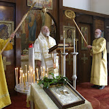 SN852767.JPG