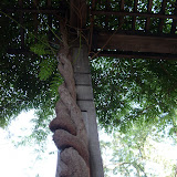 SN853294.JPG
