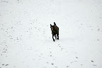 DSC_0100.jpg