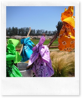 IMG_0937 IMG_0937