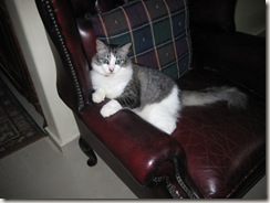 This is MY throne!! This is MY throne!!