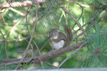 IMG_0006.JPG