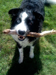 Play with me!