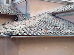 DSC05820.JPG