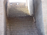 DSC05669.JPG