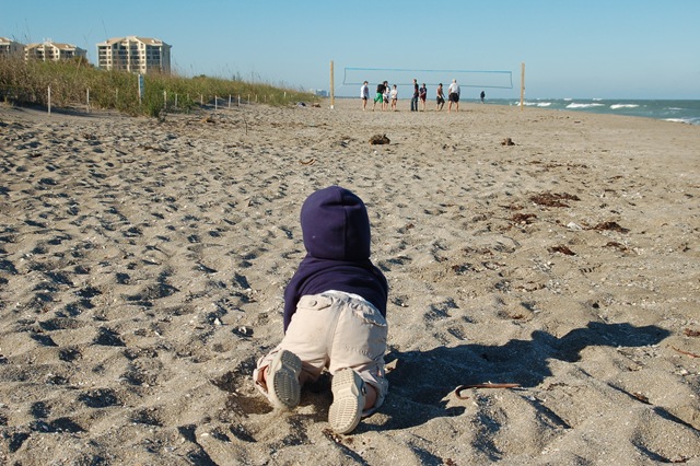 [beach-5[5].jpg]