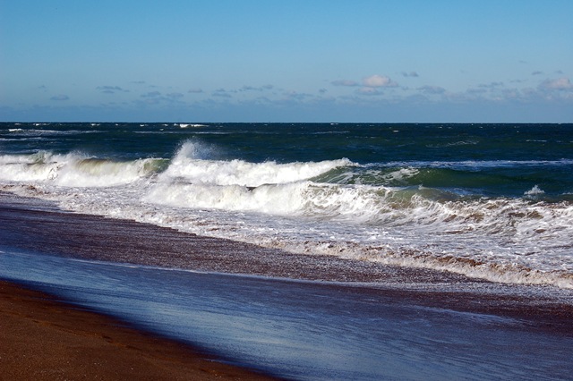 [beach-4[2].jpg]