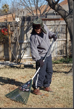 rake a yard-1