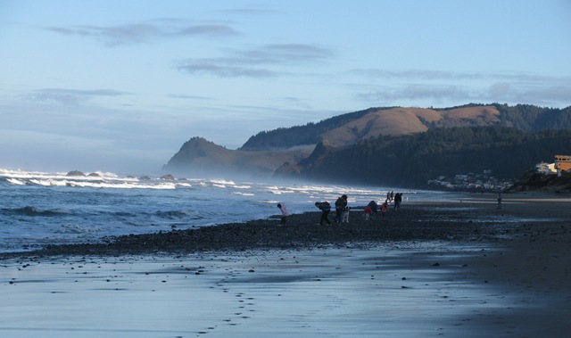 [Lincoln City, Agate Beds, Homeschool, Science, Beach[3].jpg]