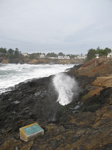 [Homeschool, Lincoln City, Depot Bay, Spout, Unschool-5.jpg]
