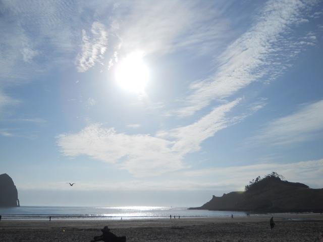 [CapeKawandaPacificCityBonFireEvenigS[12].jpg]