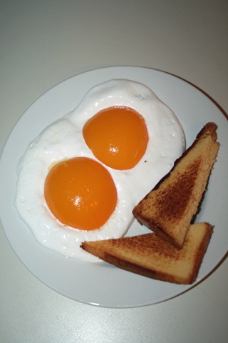 [eggs[7].jpg]