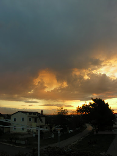 DSCN0585.JPG