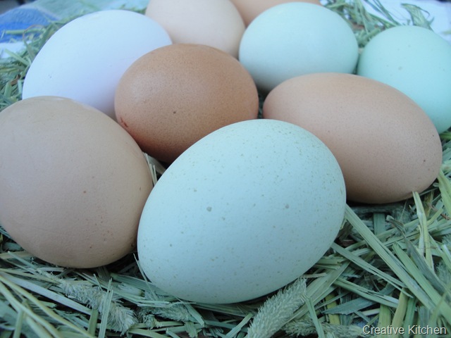 [Free range eggs[5].jpg]