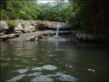 P1020255 P1020255