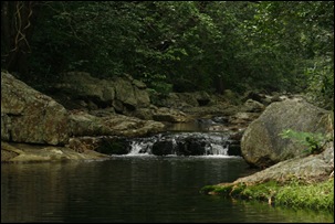_MG_4009 _MG_4009