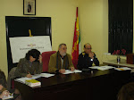 Junta Municipal del Distrito Sur. 23-02-2010