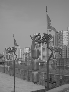 [IMG_42084.jpg]