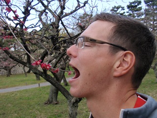 [P31125474.jpg]