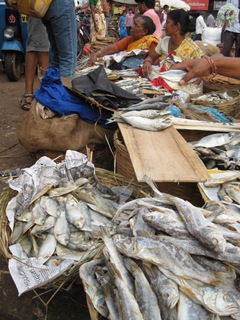 [IMG_51234.jpg]