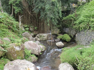 [PA080721[4].jpg]