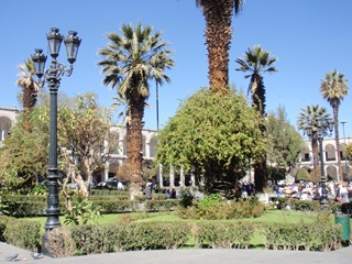[P70102674.jpg]