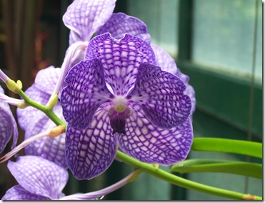 rbg 067
