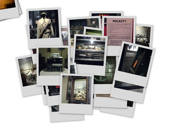 collage1.jpg