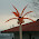 2007-12-21-23h02m23.jpg