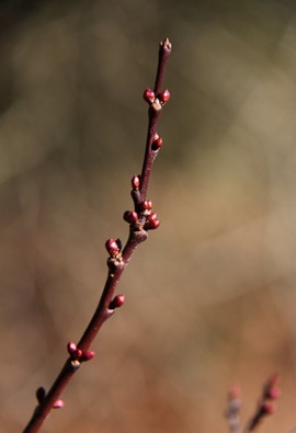 IMG_1024-1 IMG_1024-1