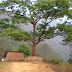DSC03502.JPG