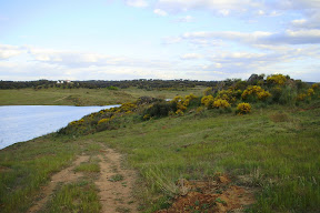 embalse la colada