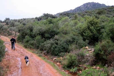 La Sierra de Santa Eufemia