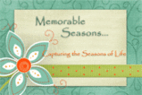 Blinkie---Memorable-Seasons