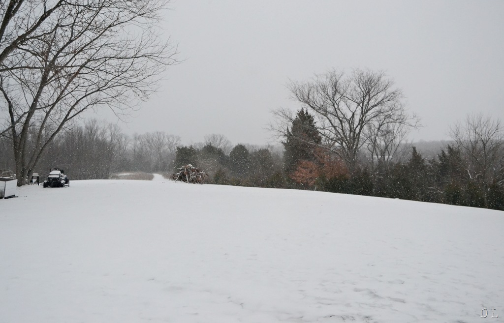 [DSC_1009edit1[9].jpg]
