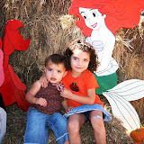 Pumpkin Patch