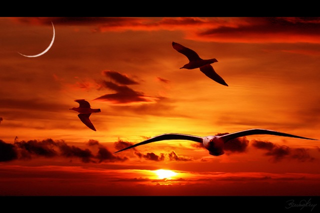 [sentido-da-vida-2[6].jpg]