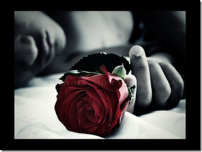 Roses_for_the_dead_II__by_frixin
